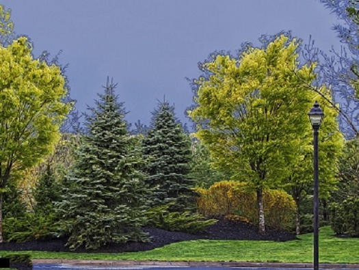 Along The Way Along The Way